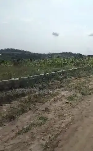 Certified and Registered Lands Available at Dominase