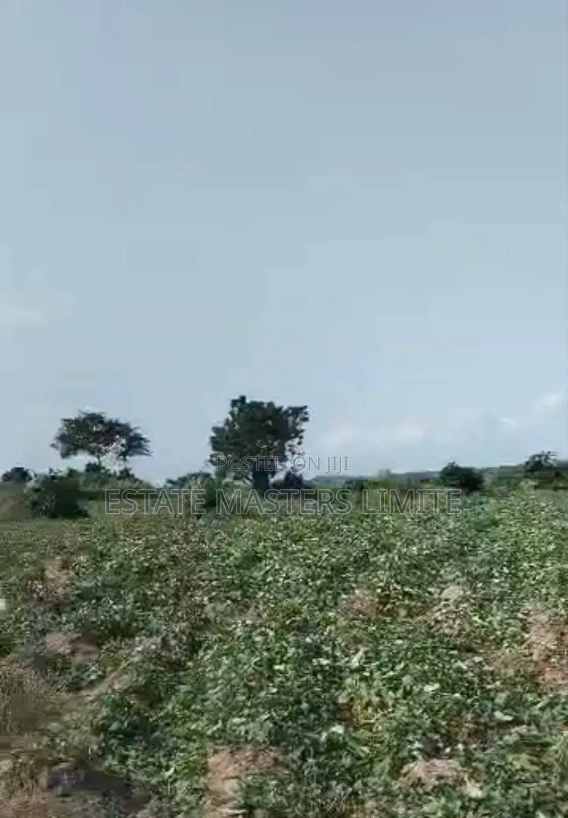 Get a Plots of Land at a Discounted Price at Estate Masters