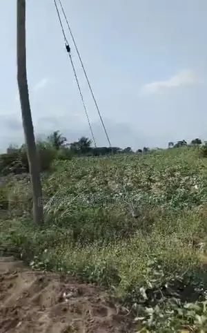 Get a Plots of Land at a Discounted Price at Estate Masters