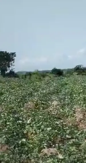 Centralised Land Between Kasoa-Winneba Road at Dominase