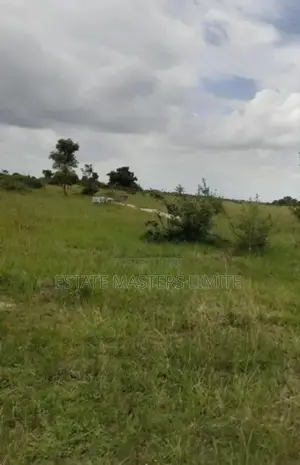 Centralised Land Between Kasoa-Winneba Road at Dominase