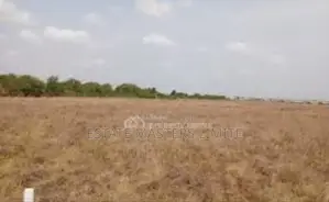 Excellent Serviced Plots Of Lands Available At Dominase