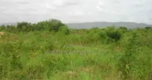 Plots Of Land Close To The Gomoa East Municipal For Sale