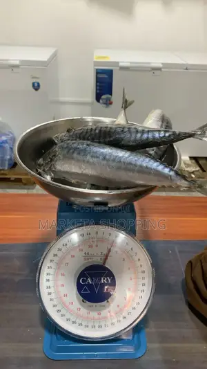 Salmon Medium 20+ Foreign