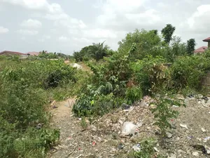 Half Plots at Kwabenya Katapor