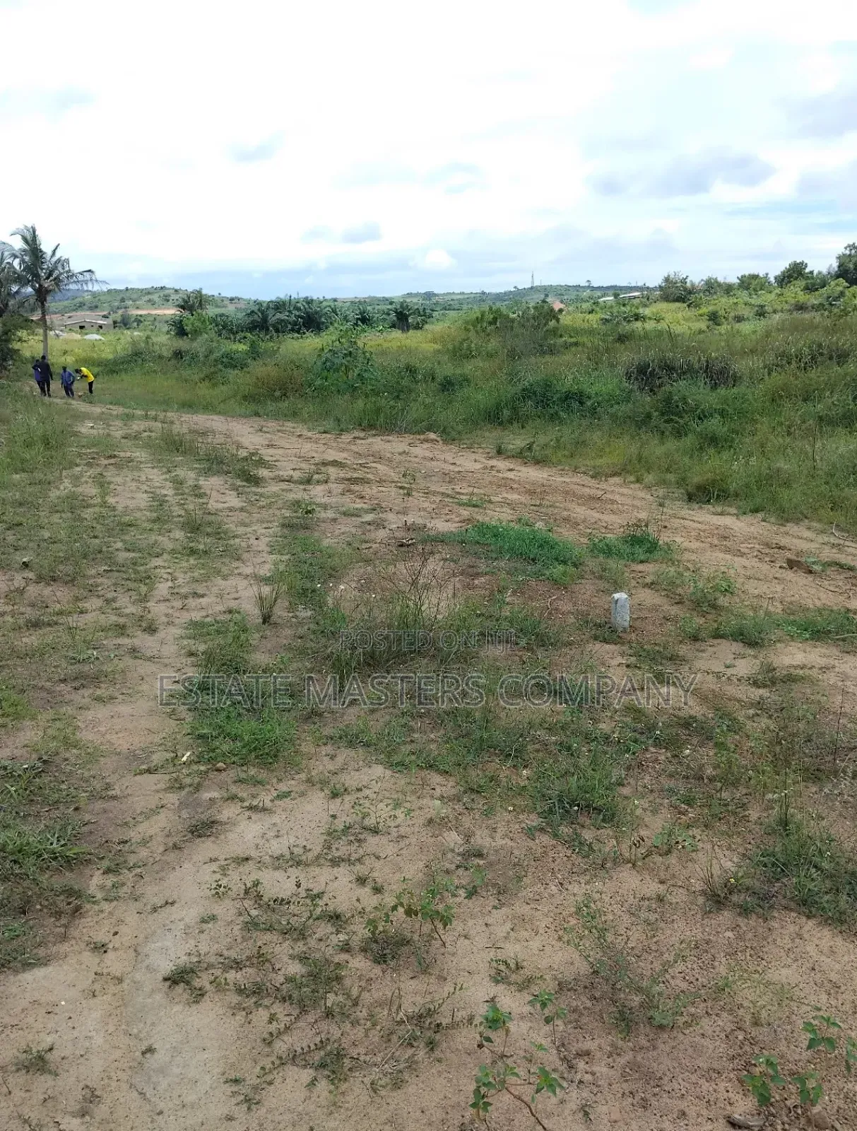Buy a Professional Land From Us at Ningo Prampram