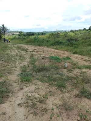 Buy a Professional Land From Us at Ningo Prampram