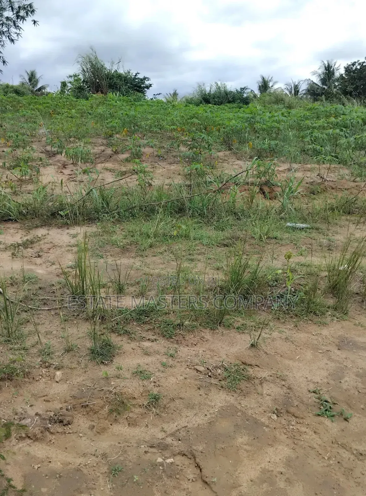Buy a Professional Land From Us at Ningo Prampram