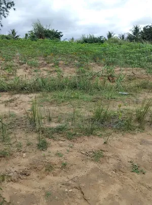 Buy a Professional Land From Us at Ningo Prampram