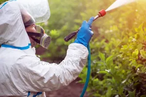 End of Year Clean Up Pest