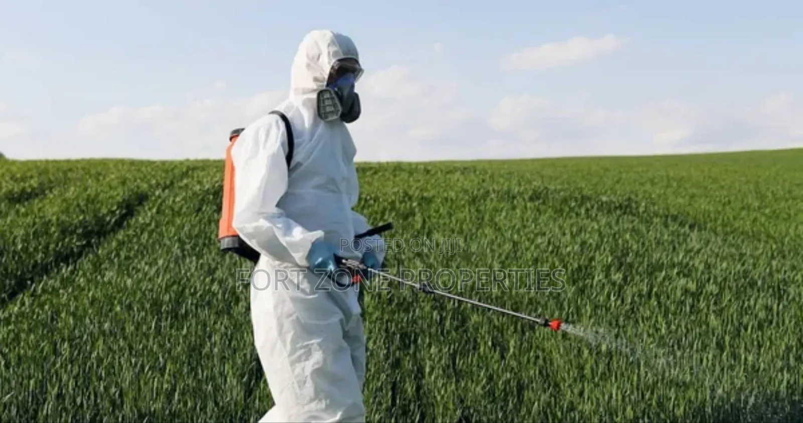 Snakes,Scorpion,Bedbugs Etc Removal