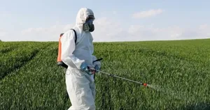 Snakes,Scorpion,Bedbugs Etc Removal