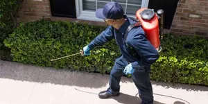 Snakes,Scorpion,Bedbugs Etc Removal