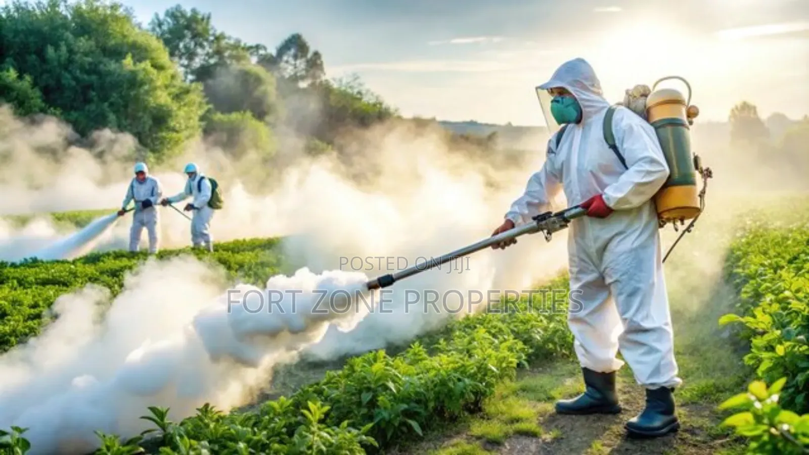 Facilities Fumigation Now