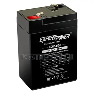 Rechargeable Batteries 6v 5ah For Rechargeable Fansand Lamp