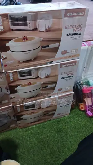 Electric Cooking Pan/Electric Wok or Skillet