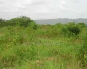 Buy a Land for Your Self and Family at Dominase