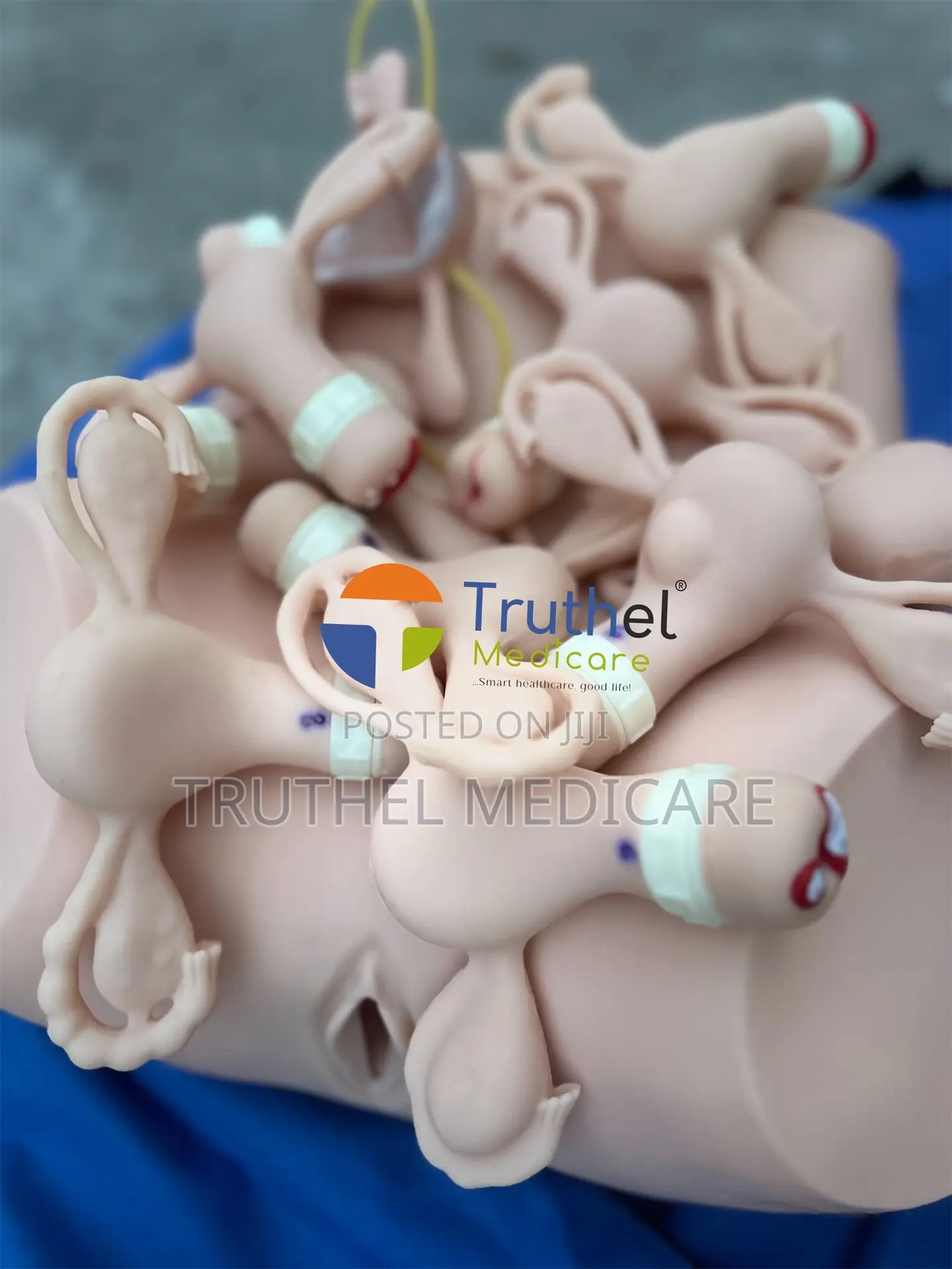 Gynecological Examination Model(Adv. Uterine Ring Training)