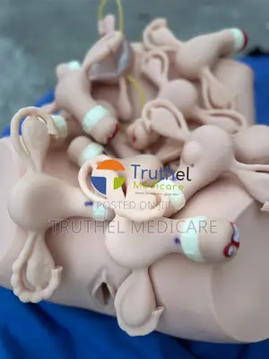 Gynecological Examination Model(Adv. Uterine Ring Training)