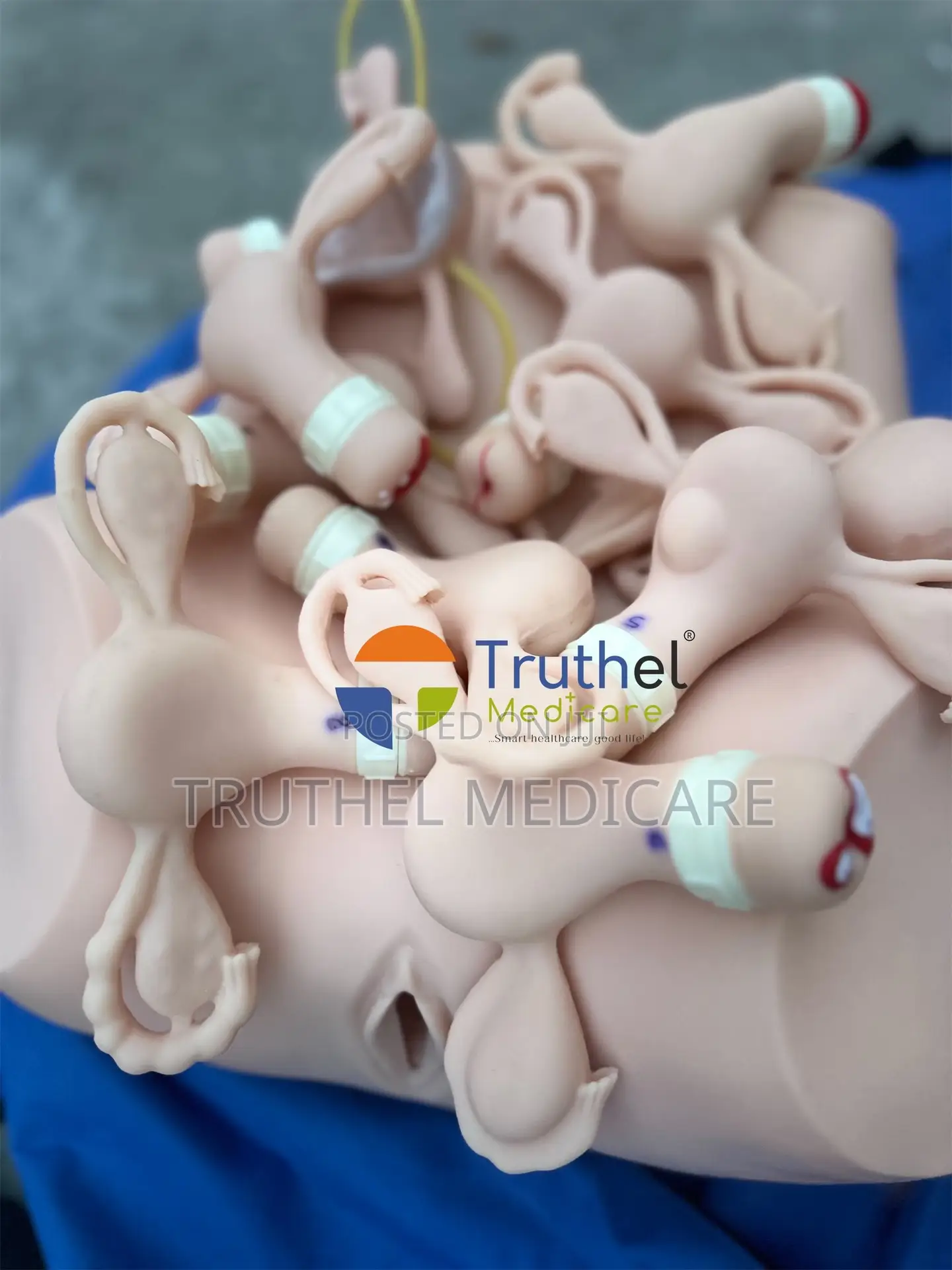 Gynecological Examination Model(Adv. Uterine Ring Training)