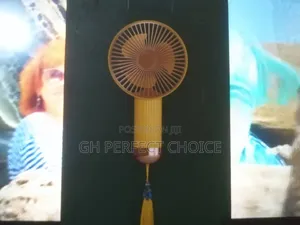 Exquisite Foldable Fan