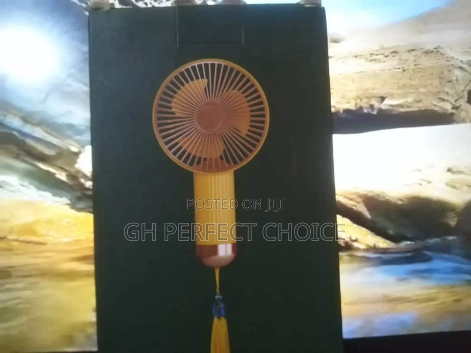 Vintage Charm Hand Fan"