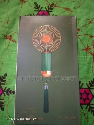 Classic Silk Fan"