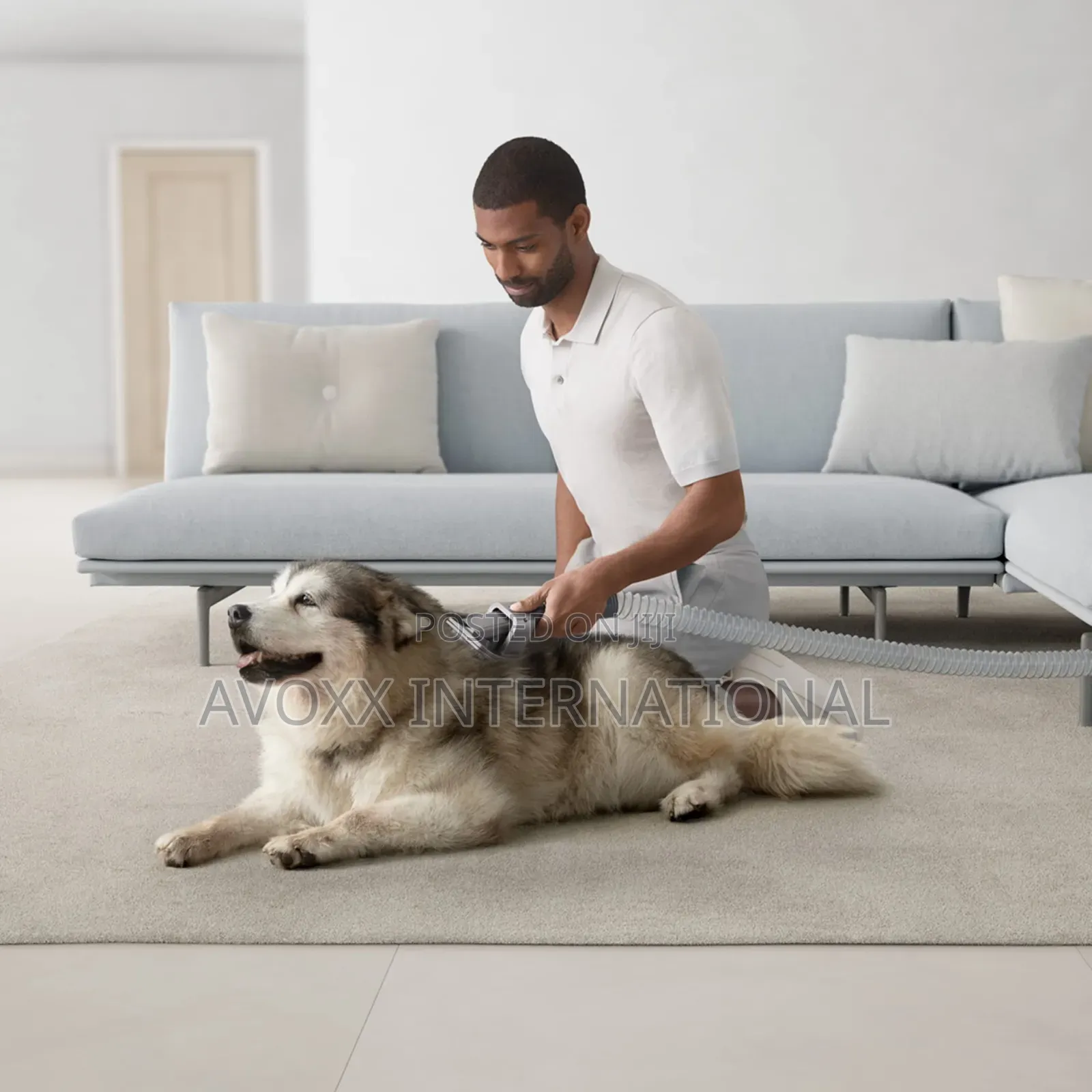 Dyson Ball Animal 3 Extra Upright Vacuum Cleaner