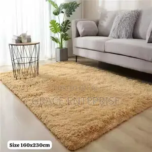 Ultra Modern and Affordable Fluffy Ligth Carpet