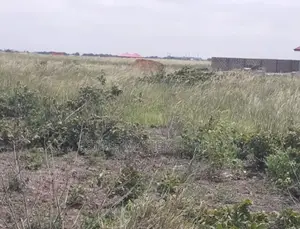 Dominase Serviced Plots With Amenities Water and Electricity