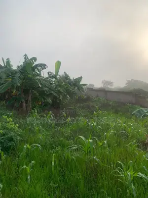 Registered 27 Plots of Land Available.