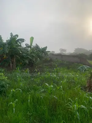 Registered 27 Plots of Land Available.