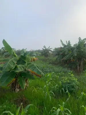 Registered 27 Plots of Land Available.