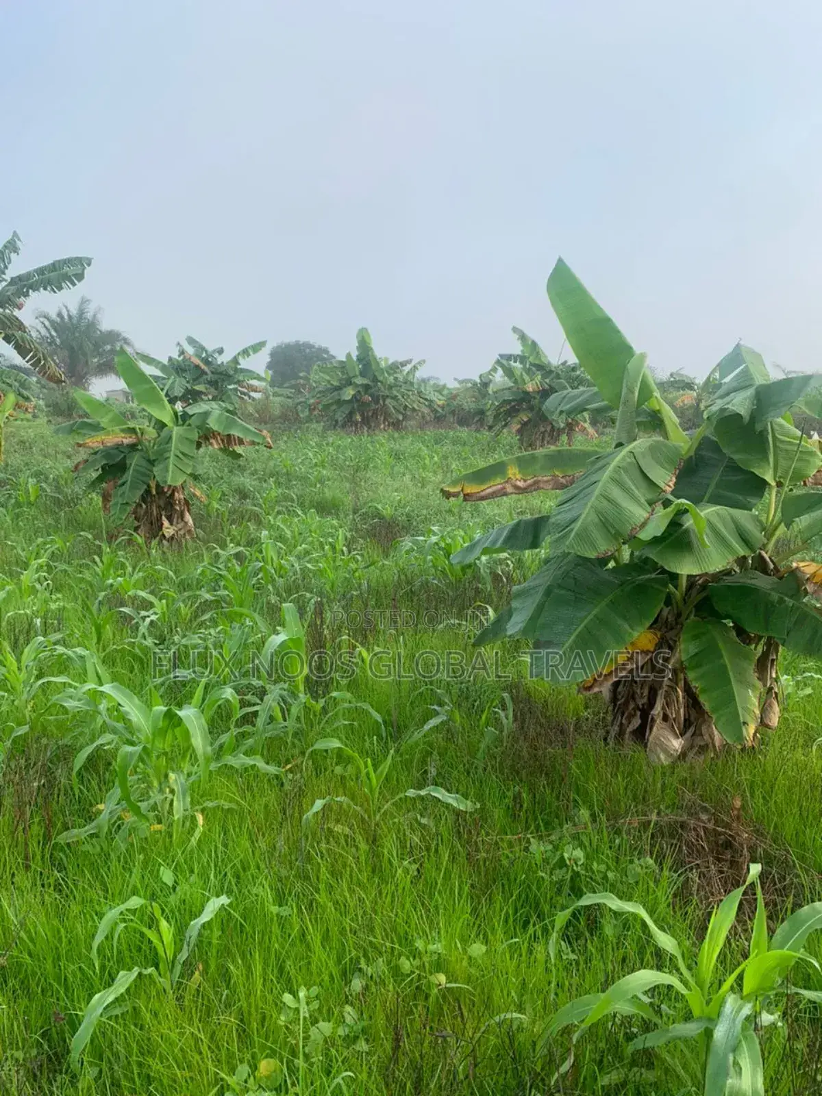 Registered 27 Plots of Land Available.