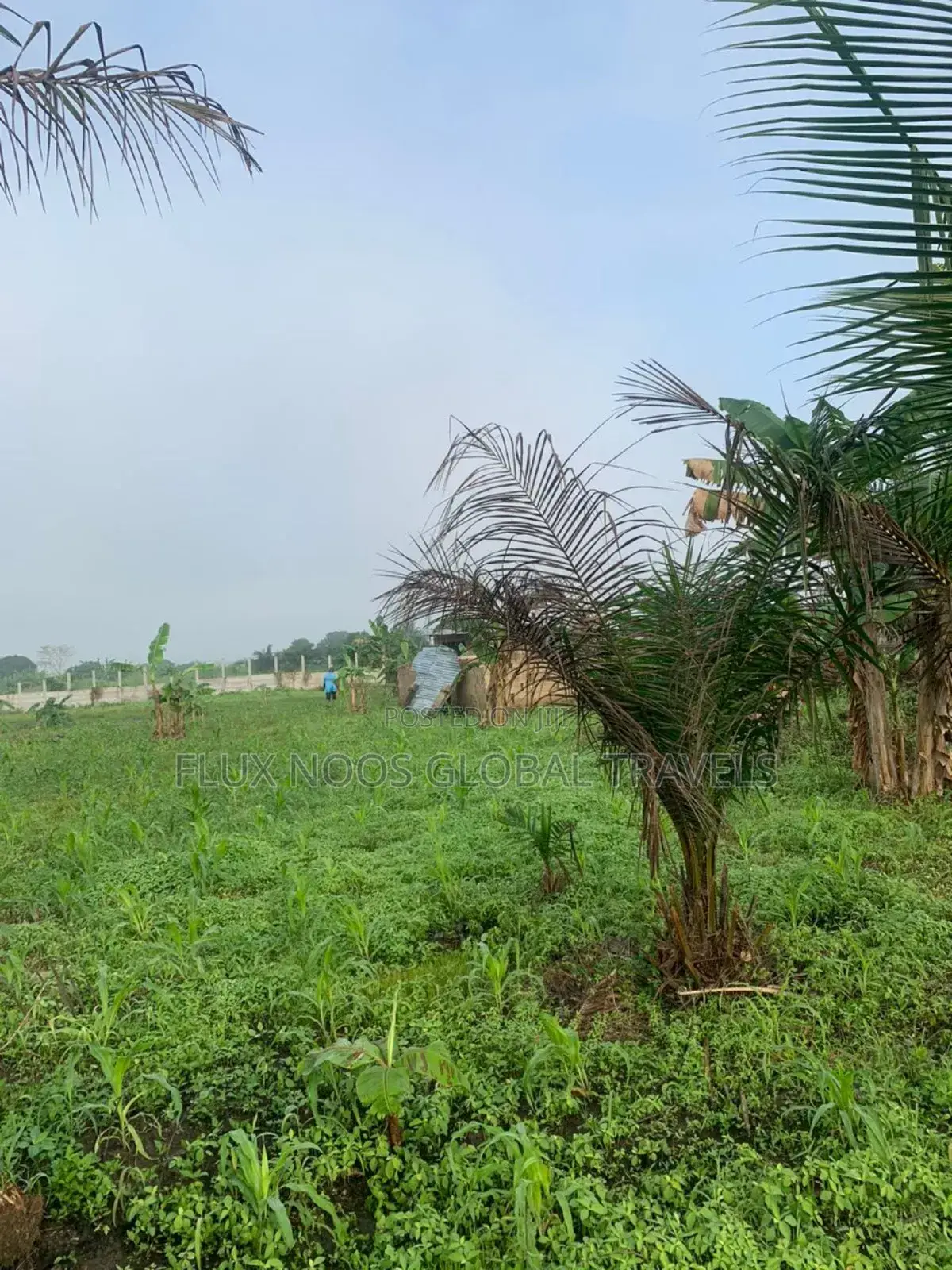 Registered and Gated 21 Plots for Sale.