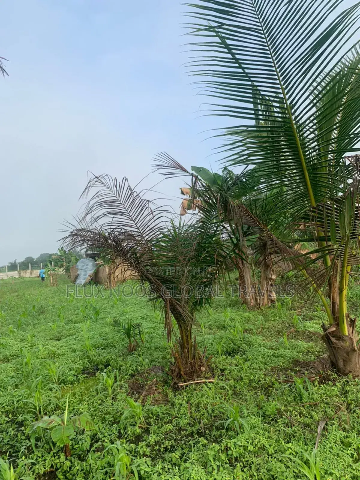 Registered and Gated 21 Plots for Sale.
