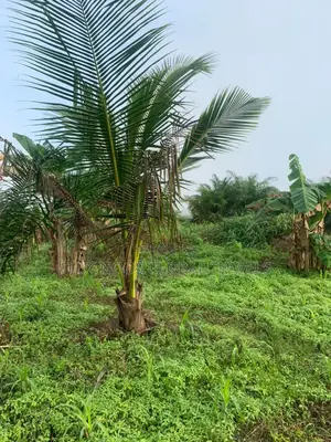 Registered and Gated 21 Plots for Sale.
