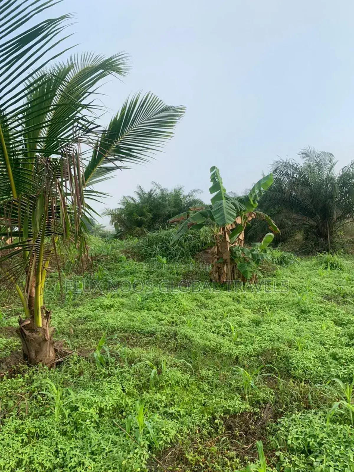 Registered and Gated 21 Plots for Sale.