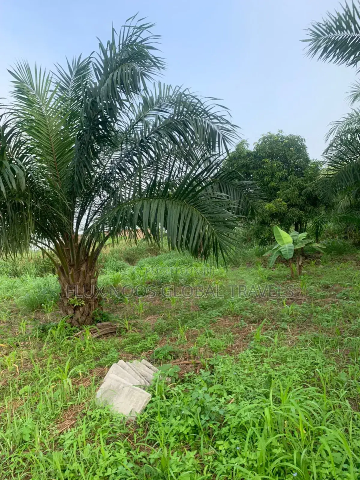 Car for Land Deal Available Now
