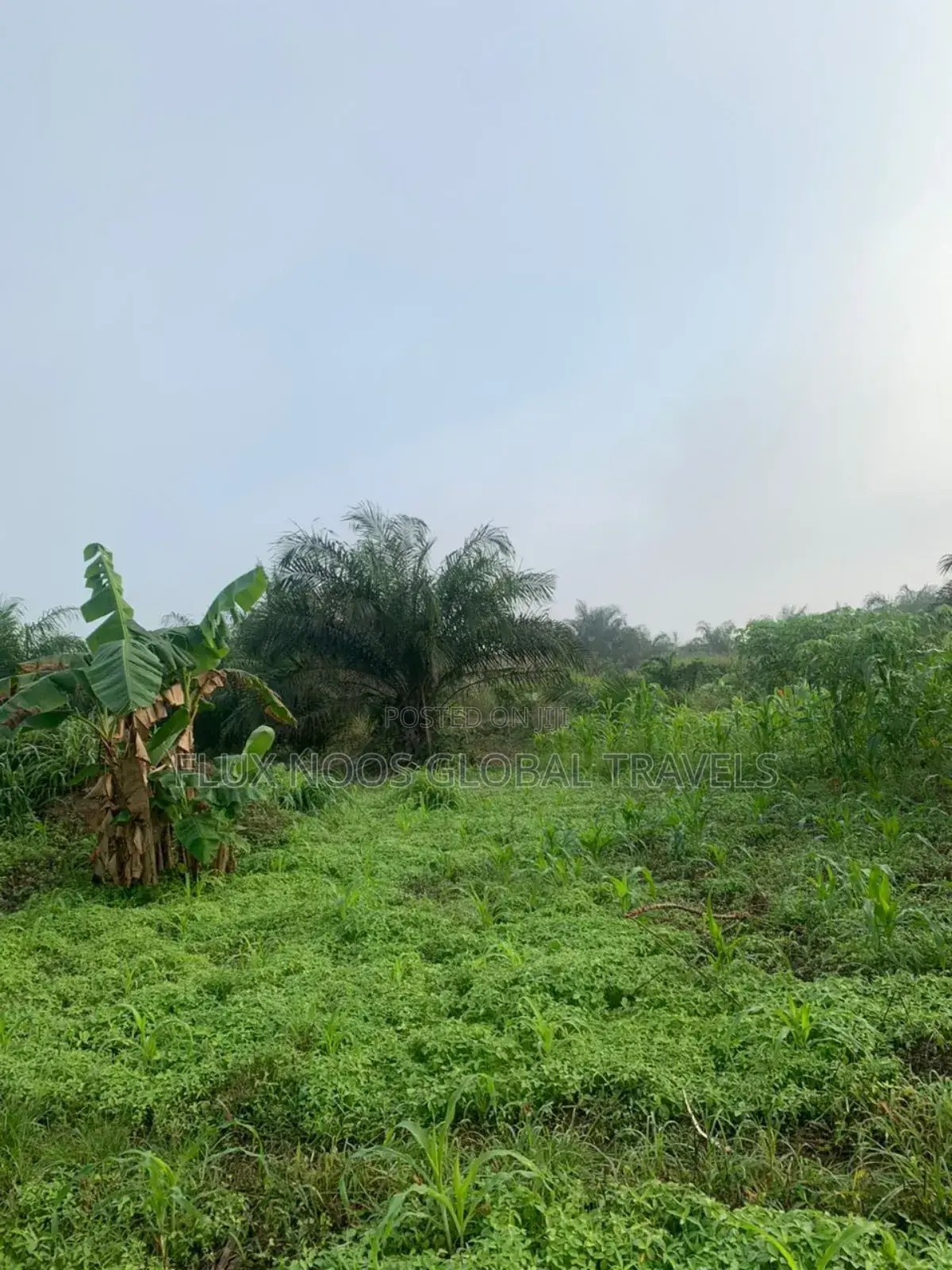 Car for Land Deal Available Now