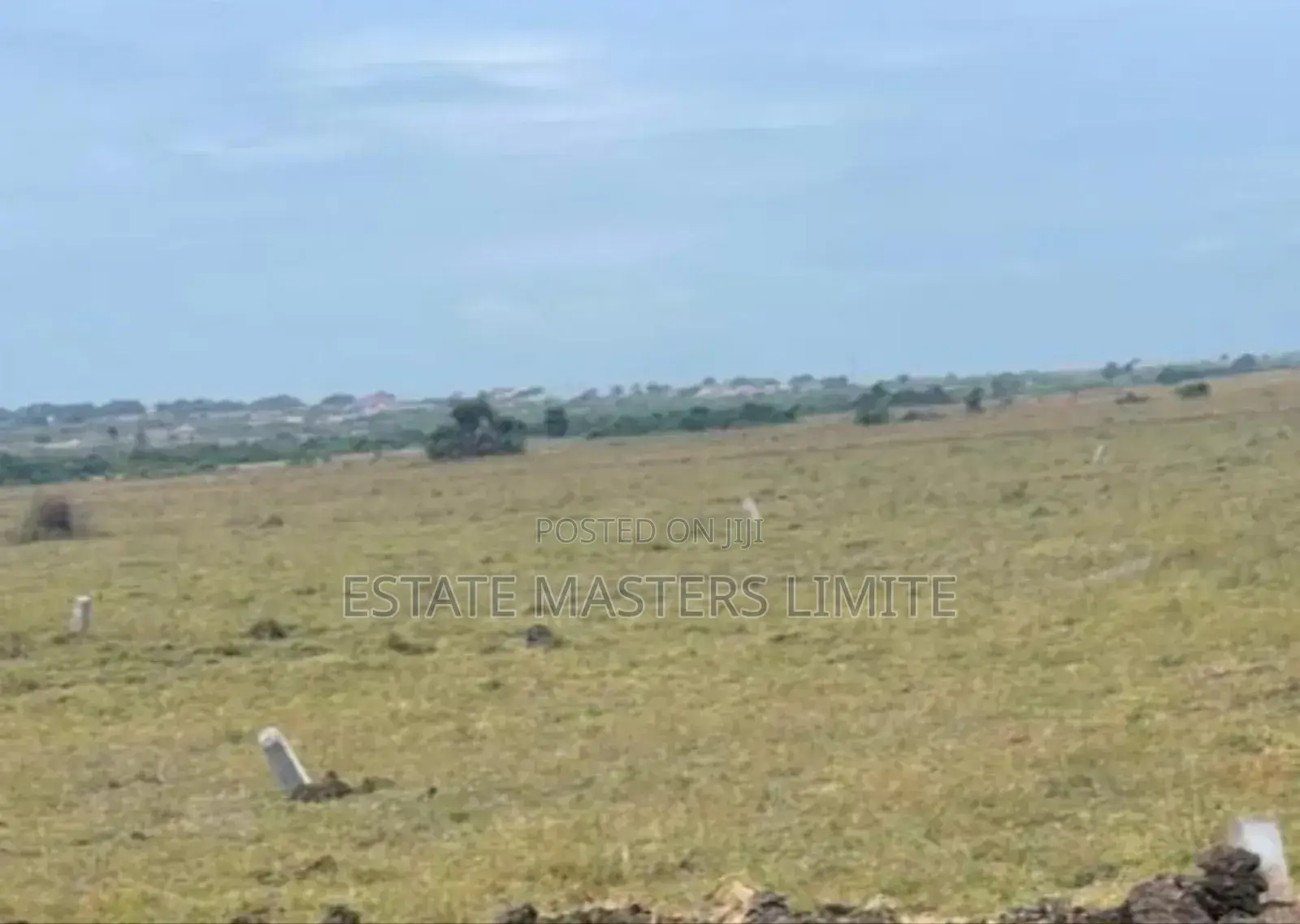 With Your Little Budget You Can Own a Land at Dominase