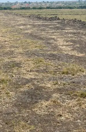 With Your Little Budget You Can Own a Land at Dominase