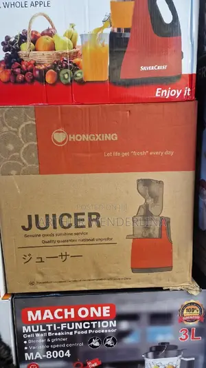 Hongxing German Technology Slow Juicer