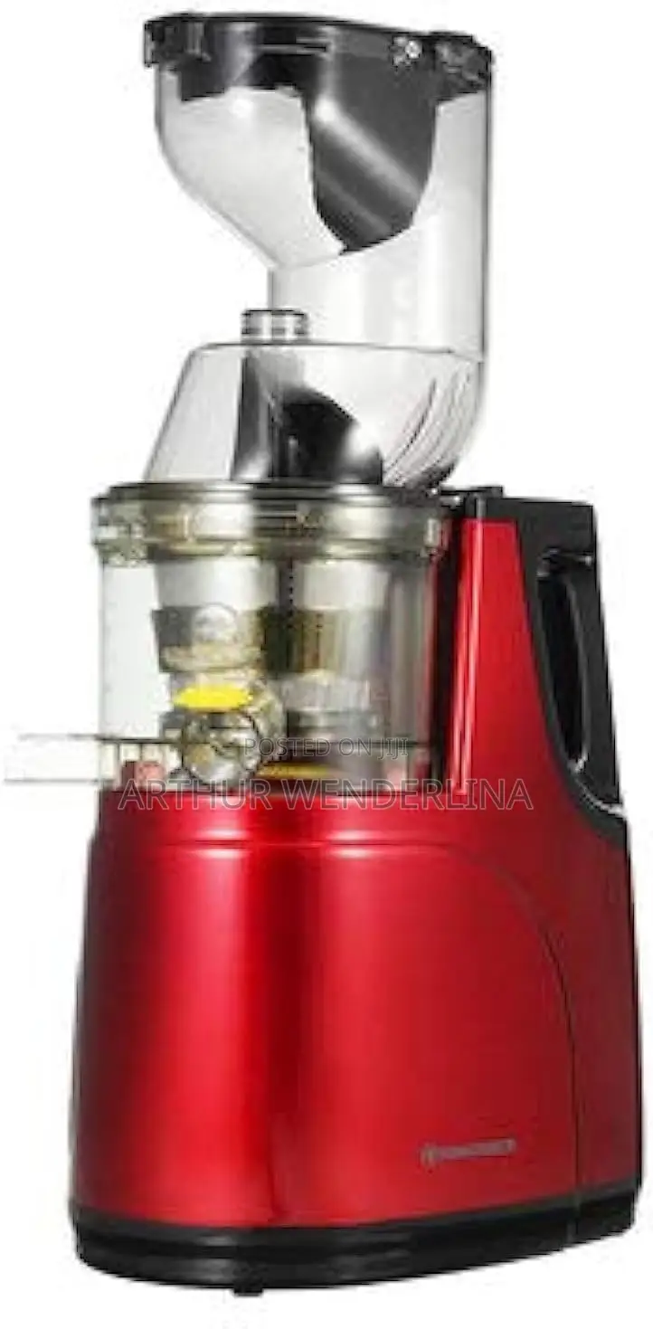 Hongxing German Technology Slow Juicer