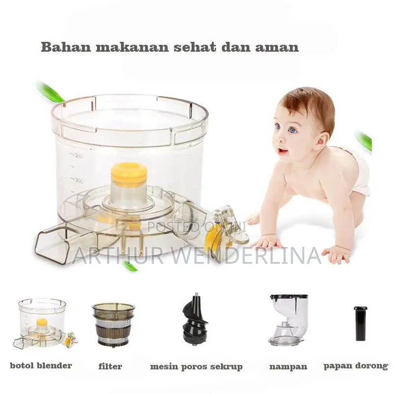 Hongxing German Technology Slow Juicer