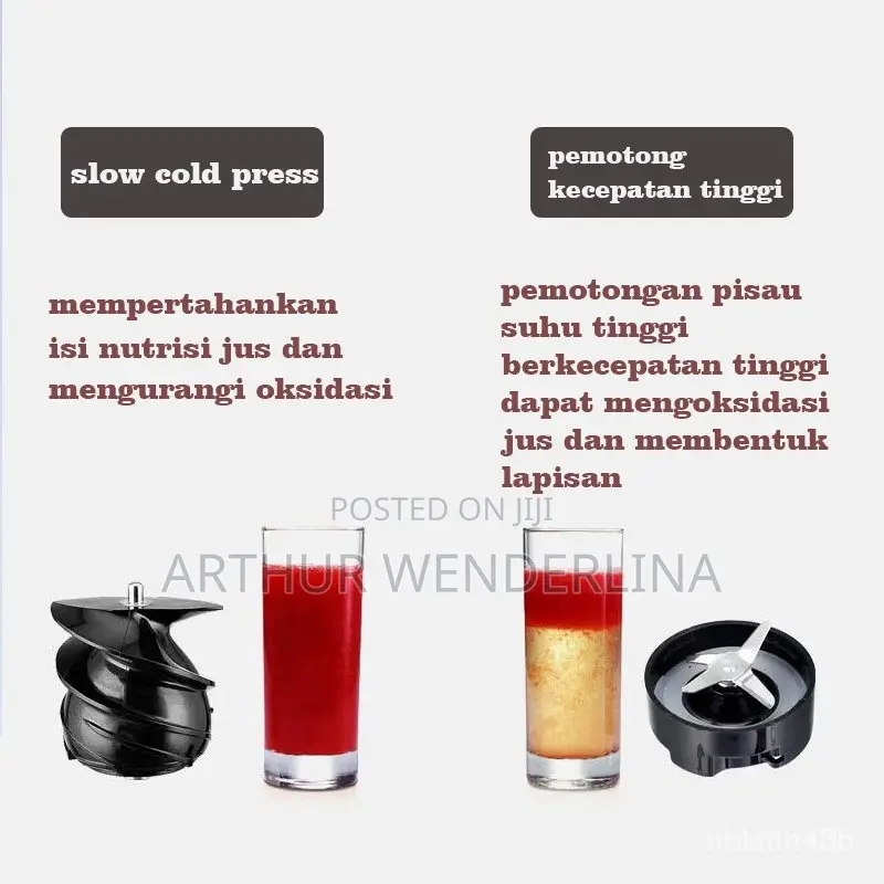 Hongxing German Technology Slow Juicer