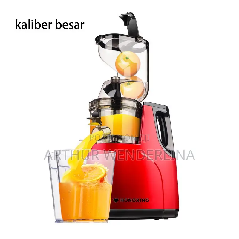 Hongxing German Technology Slow Juicer