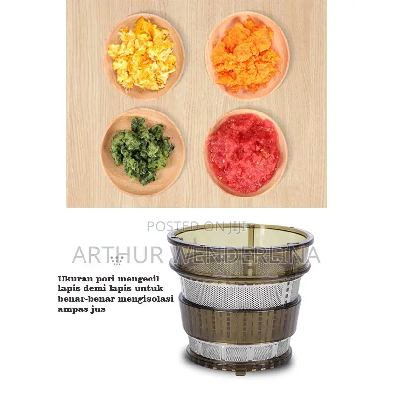 Hongxing German Technology Slow Juicer
