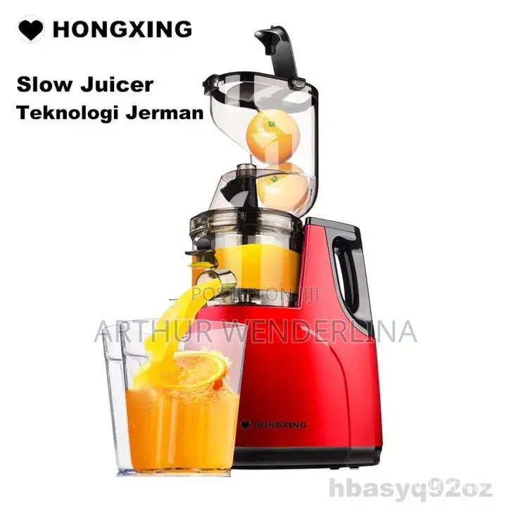 Hongxing German Technology Slow Juicer