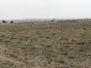 Titled and Registered Land at Tsopoli